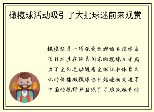 橄榄球活动吸引了大批球迷前来观赏